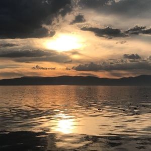 Meet your Posher, Nick